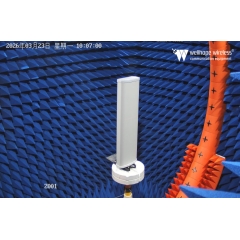 LoRaWAN 5G z wieloma antenami